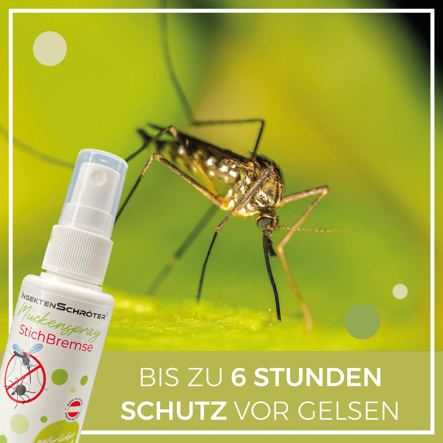 Mückenspray "StichBremse" von InsektenSchröter®