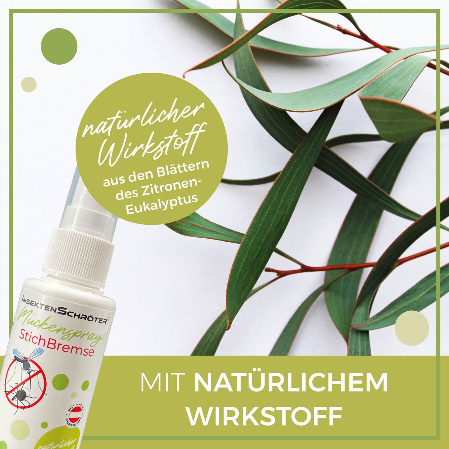 Mückenspray "StichBremse" von InsektenSchröter® (2er-Set, 2 Stück)