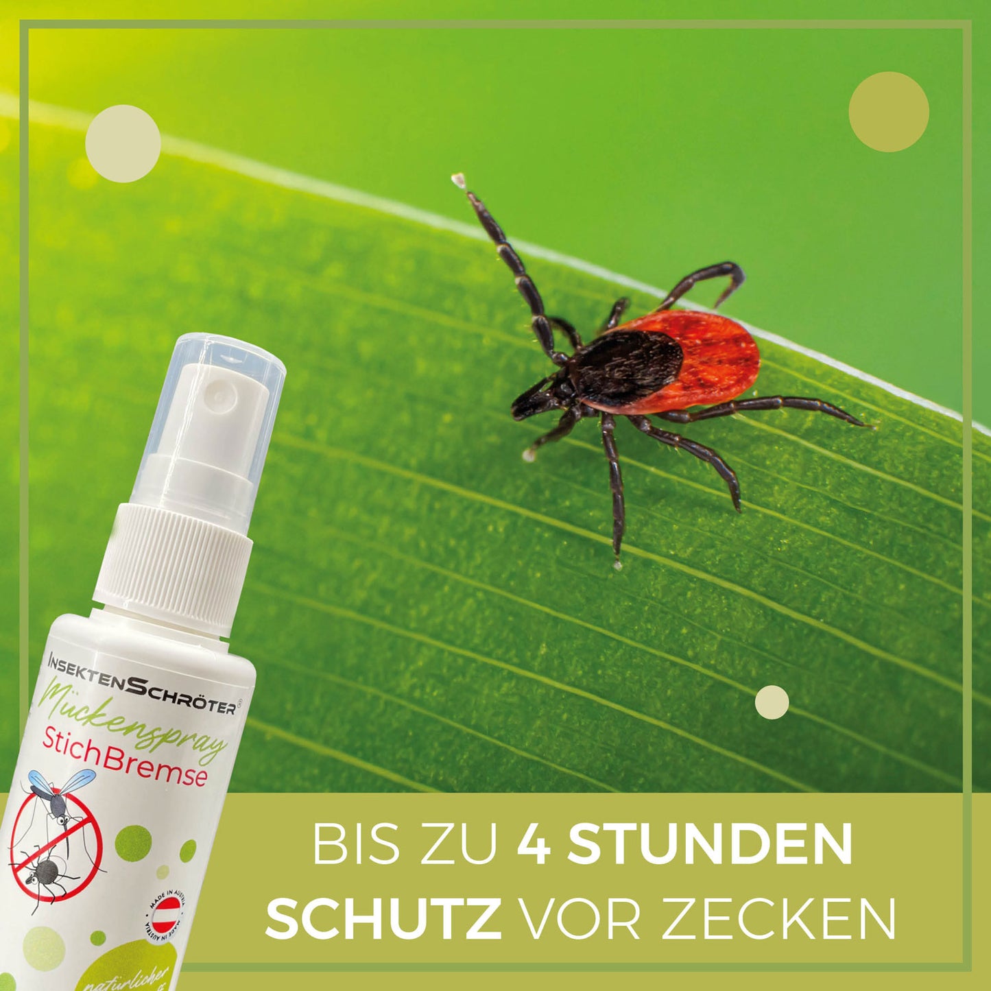 Mückenspray "StichBremse" von InsektenSchröter®