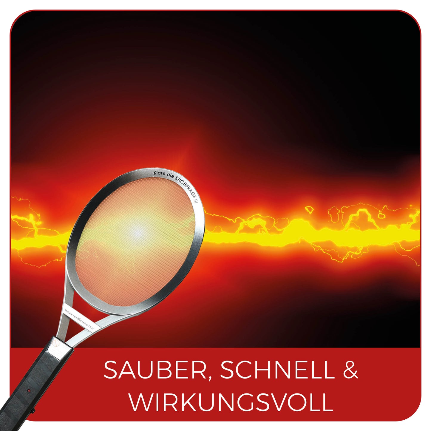 InsektenSchröter® - das Original (2er-Set, 2 Stück)
